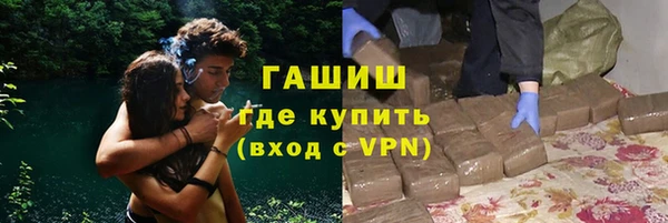 дмт Ельня