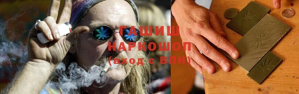 дмт Ельня