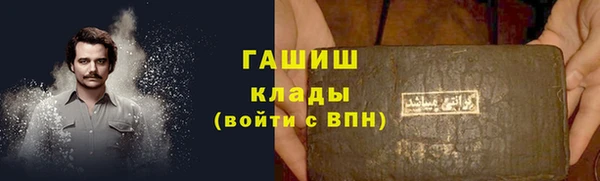 дмт Ельня