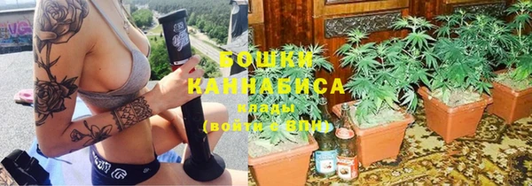 дмт Ельня