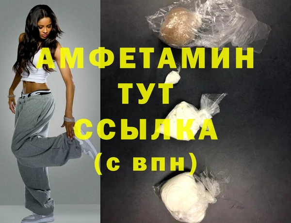 дмт Ельня