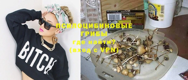mdpv Дмитровск