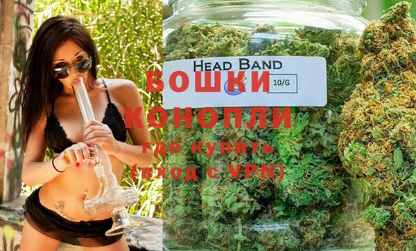 дмт Ельня