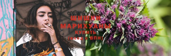 дурь Елизово
