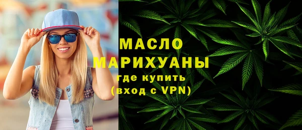 дмт Ельня