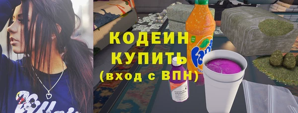 дмт Ельня