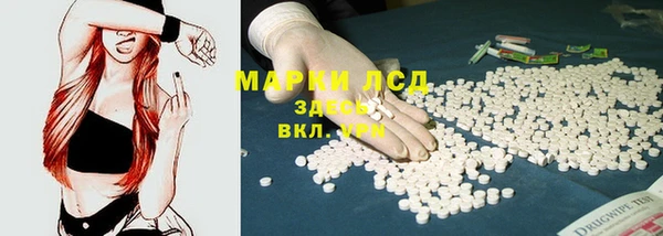 дмт Ельня