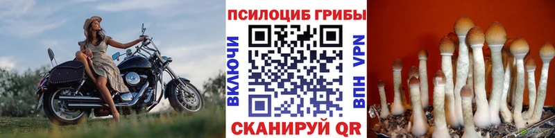 Галлюциногенные грибы MAGIC MUSHROOMS  Избербаш 