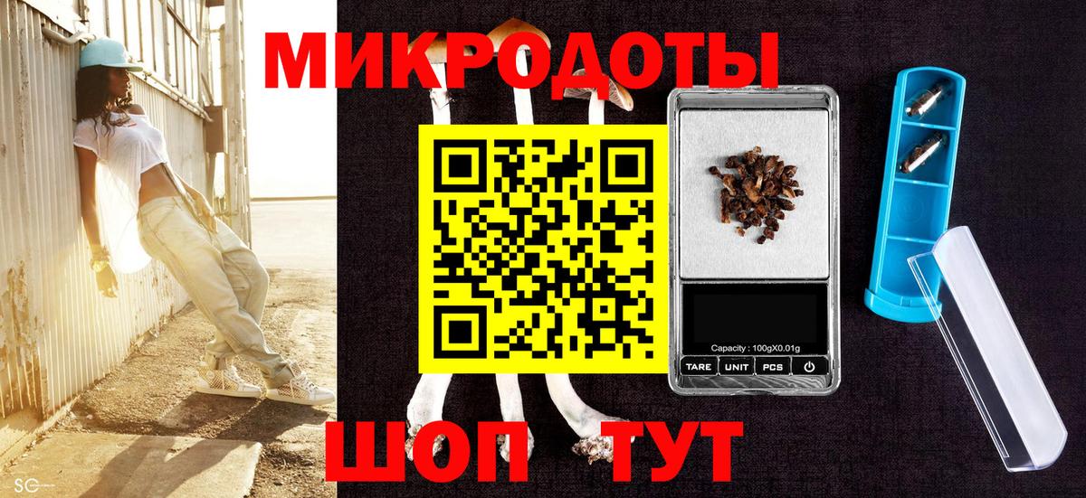 Псилоцибиновые грибы Psilocybine cubensis  Вход с VPN  Избербаш 