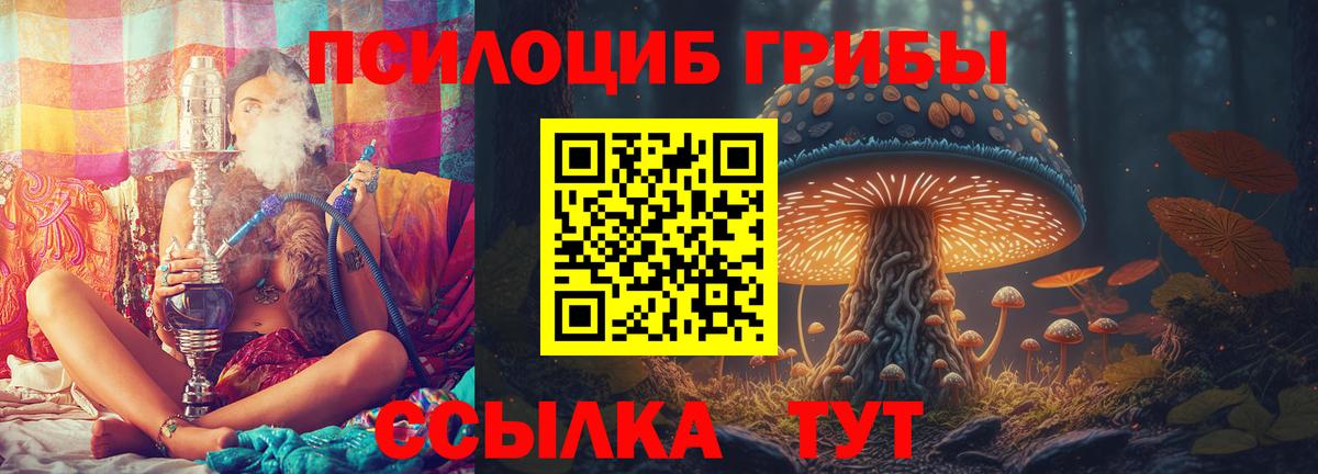 Псилоцибиновые грибы Psilocybine cubensis Избербаш